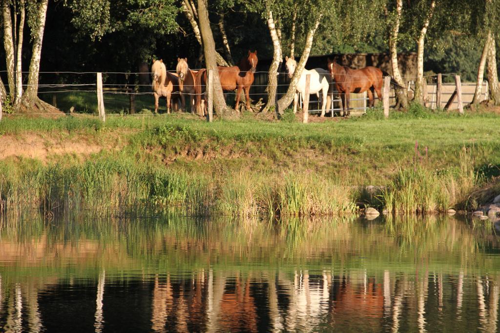 Kur-& Landhotel Borstel - Treff Dabel Kültér fotó