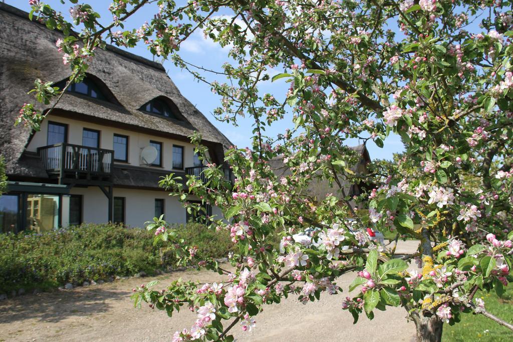 Kur-& Landhotel Borstel - Treff Dabel Kültér fotó